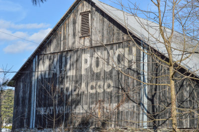 DSC_0074.jpg