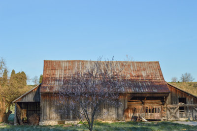 DSC_0246.jpg