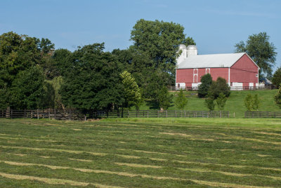 07-16-2015P 004.jpg