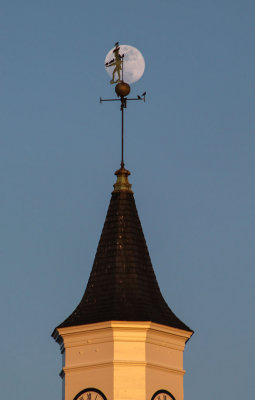 IMG_4460.jpg
