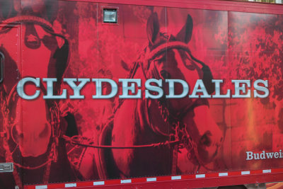 Clydesdales Come to Shepherdstown