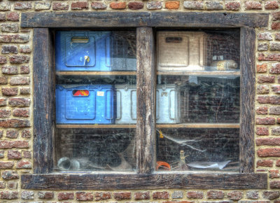 Window
