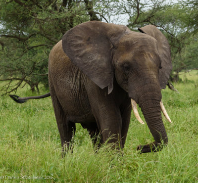 Africa-043.jpg