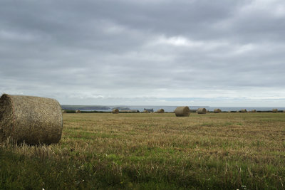 St Annes Head 