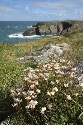 Pembrokeshire