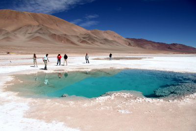 Day 11 : Ojos del salar, Tolar Grande
