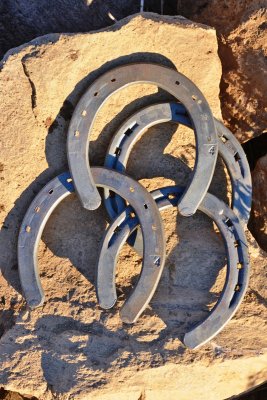 Day 5 : Spare horseshoes