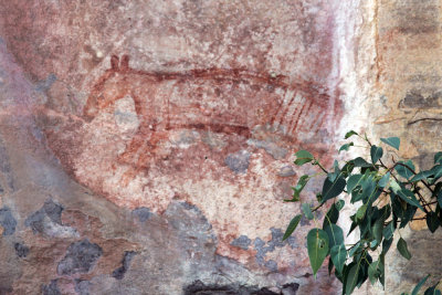 Thylacine Rock Art at Ubirr