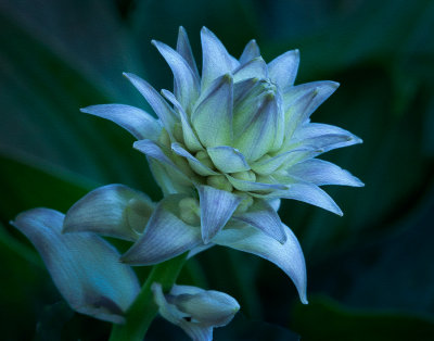 IMG_9752-oil-paint-flip-crop2--f6-web.jpg