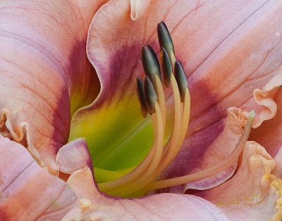 IMG_9771--b-signed-oil-paint-crop-2-f6-web.jpg