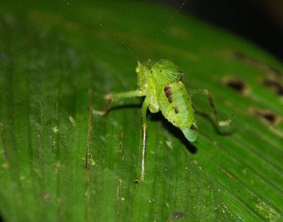 IMG_5106 crop lab.jpg
