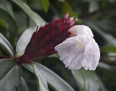 IMG_5117 crop.jpg