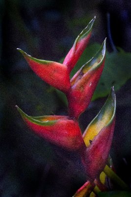 IMG_5122 crop.jpg
