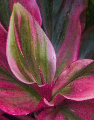 IMG_5123 ps crop lab.jpg