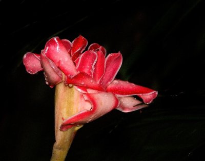 IMG_5127 crop lab.jpg