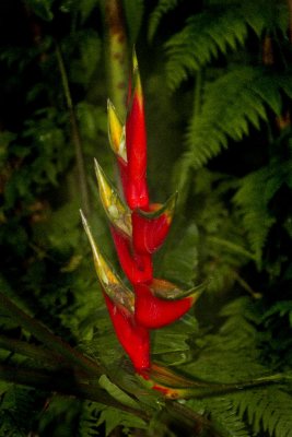 IMG_5132 ps.jpg