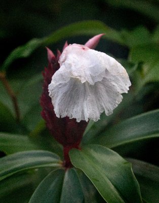 IMG_5146 crop.jpg