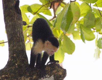 IMG_5763 crop.jpg