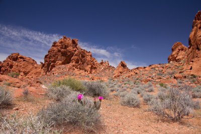 Valley of Fire, Nevada.