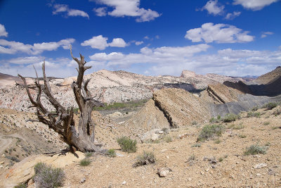 Cotton Wood Canyon, Lookout.