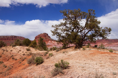Vermillion Cliffs.