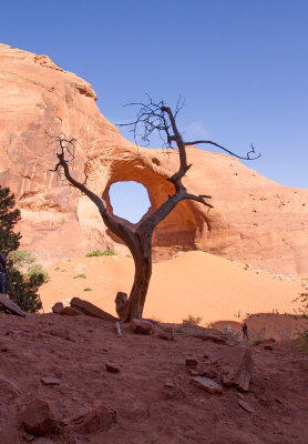Iconic Photo - Elephant's Ear, Monument Valley.