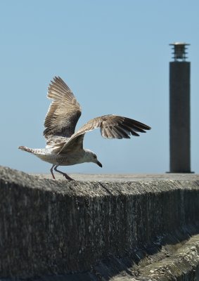 031  2012-05-04 Estoril en Cascais.jpg