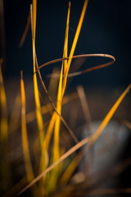 g9/93/731693/3/152849687.4lNoj5Jj.jpg