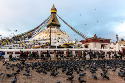 g9/93/731693/3/158266841.f5KpbG5D.jpg