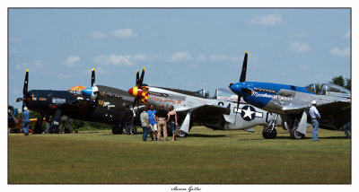 Alignement de warbirds