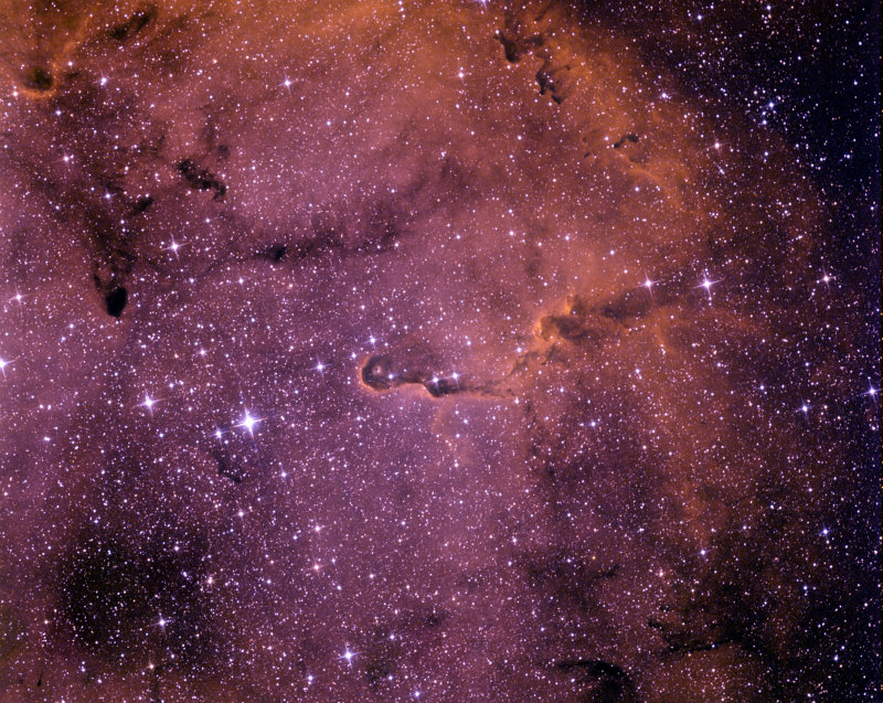 IC 1396 - la Trompe dlphant