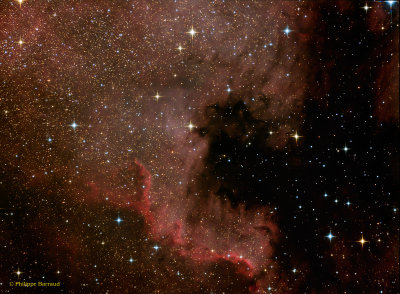 NGC 7000, North America Nebula