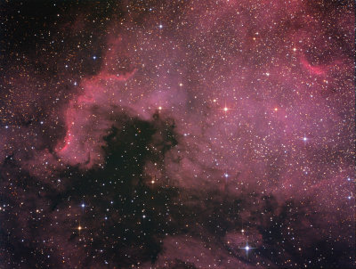 NGC 7000, la Nébuleuse America