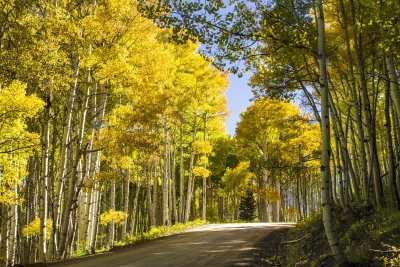 _MG_7637 Along the Aspen Way 2.jpg