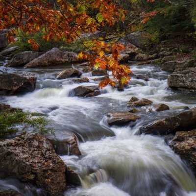 _MG_4072 West Virginia Stream.jpg