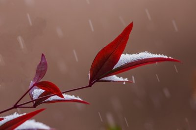g9/93/821493/3/153673699.05b5pNJZ.jpg