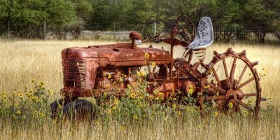 029 Tractor In Sunflowers.jpg