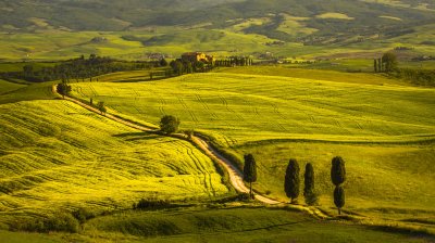 _MG_9207 Tuscan Hills and Home.jpg