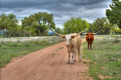 _MG_1280_1159_ Official Welcoming Committee.jpg