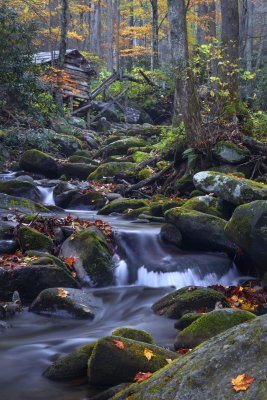 Autumn In The Great Smoky Mountains 