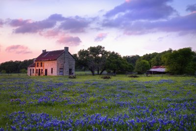 IMG_6034_2025 Evening At The Bluebonnet House.jpg
