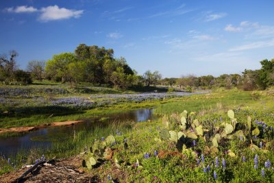 just_texas