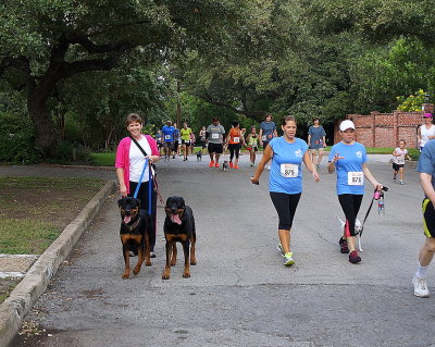 Bubba walks in the SNIPSA Race for the Rescues!