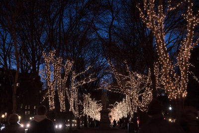Lights on Commonwealth Ave Mall