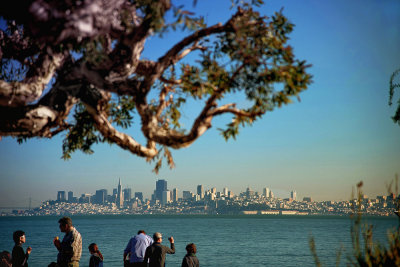 A Sausalito viewpoint