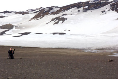 Photographing Brown Skua (Stercorarius antarcticus lonnbergi)