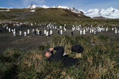 Yours truly photographing King Penguins (Aptenodytes patagonica)