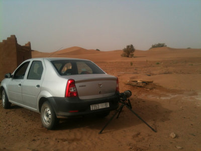 Make-shift Desert Sparrow stake-out in the Sahara. Just add water.
