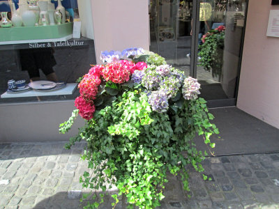 Zurich - Flower Display