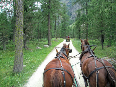 Horse Drawn Carriage Ride to the Roseg Glacier